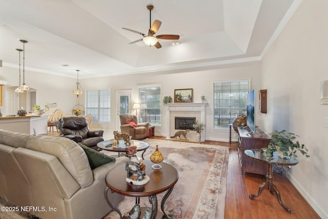 living room with a high end fireplace, a raised ceiling, ceiling fan, and dark hardwood / wood-style flooring