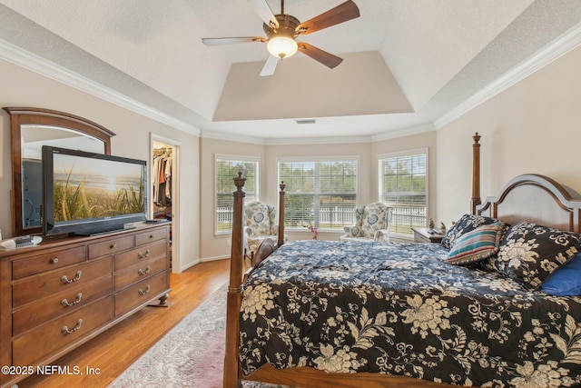 bedroom featuring a walk in closet, a closet, ceiling fan, and a tray ceiling