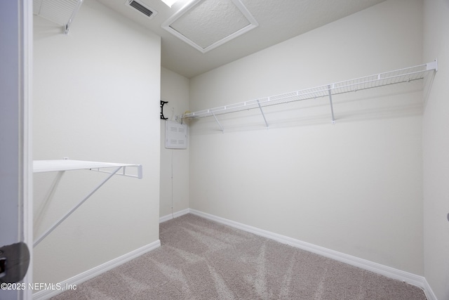 spacious closet featuring carpet floors