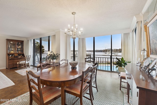 dining space featuring hardwood / wood-style floors, a water view, crown molding, and a wealth of natural light