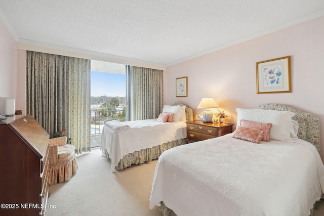 bedroom with access to exterior, light carpet, a textured ceiling, and ornamental molding