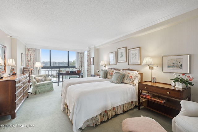 carpeted bedroom featuring crown molding, expansive windows, and a textured ceiling