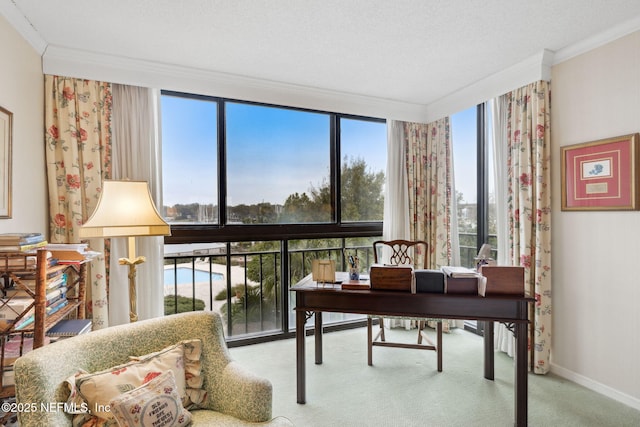 office featuring carpet flooring, a textured ceiling, a wall of windows, and crown molding