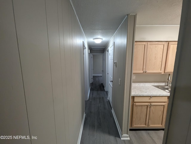 hall featuring wooden walls, dark hardwood / wood-style flooring, a textured ceiling, and sink