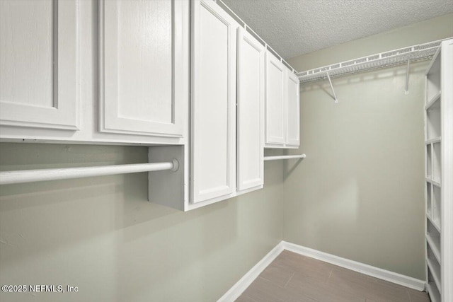 spacious closet with hardwood / wood-style flooring