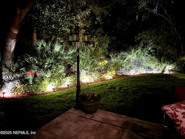 view of yard featuring a patio