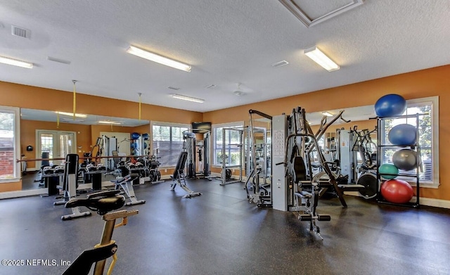 exercise room featuring a textured ceiling and a healthy amount of sunlight