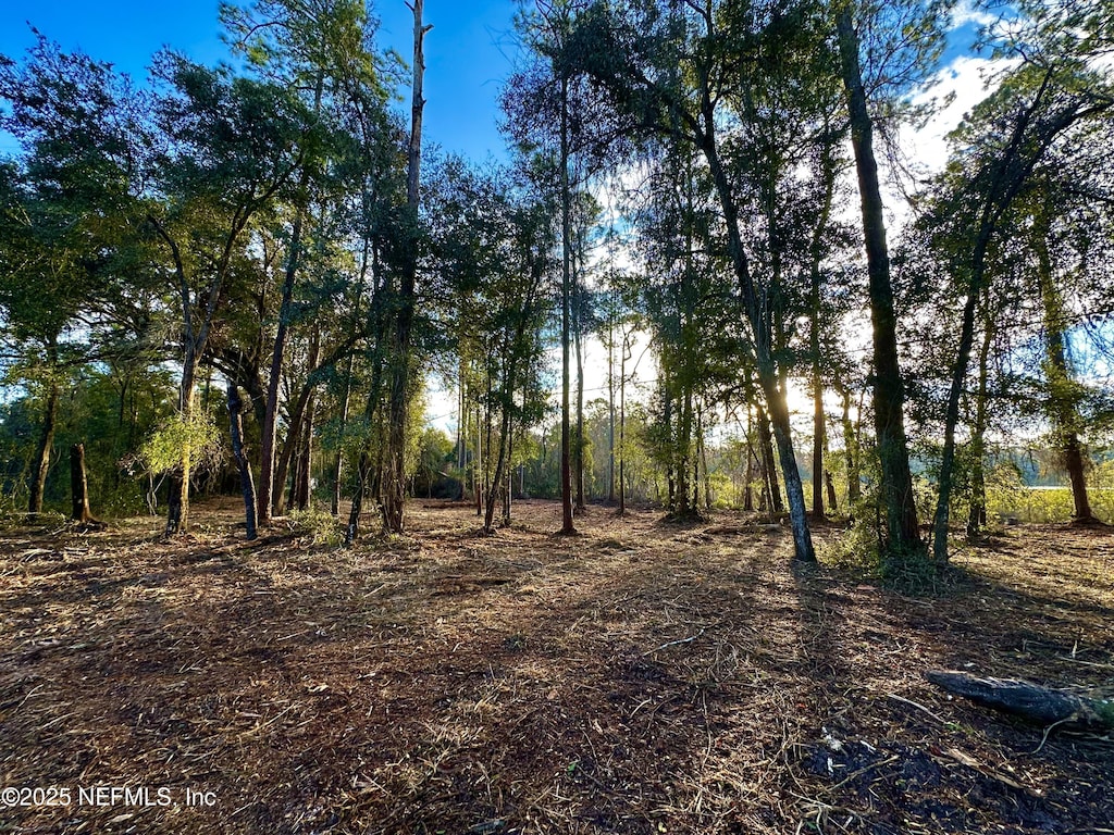 1181 S State Road 19, Palatka, FL 32177 - photo 1