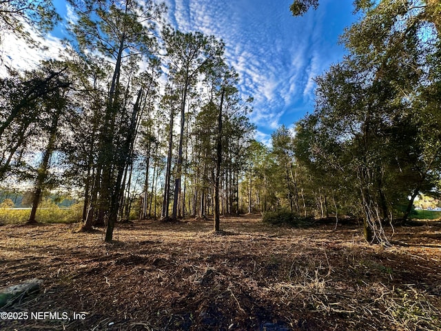 1181 S State Road 19, Palatka, FL 32177 - photo 4