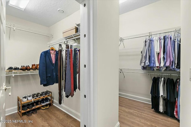 spacious closet featuring wood-type flooring