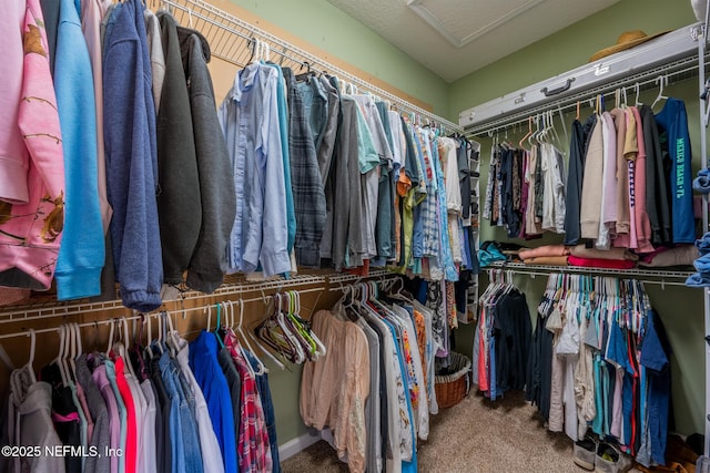 walk in closet with carpet floors