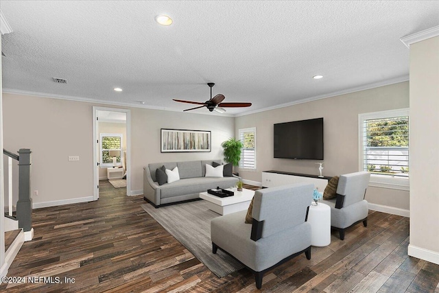 living room with dark wood-type flooring, a textured ceiling, and ornamental molding