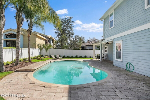 view of swimming pool featuring a patio area