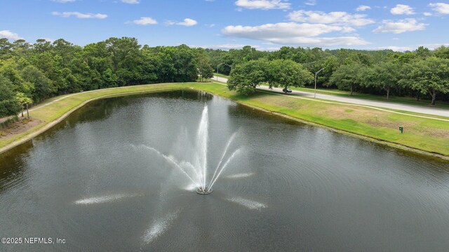 view of water feature