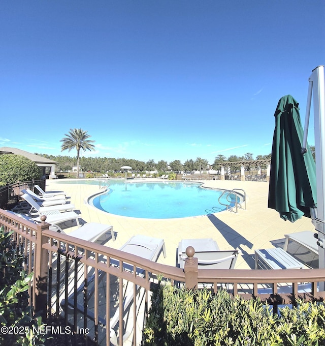 view of swimming pool with a patio