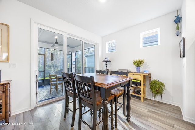 dining area with ceiling fan and light hardwood / wood-style floors