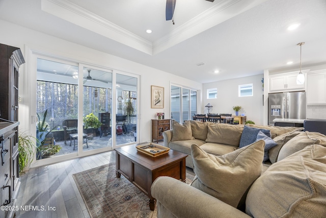 living room with a tray ceiling, a healthy amount of sunlight, light hardwood / wood-style floors, and ornamental molding