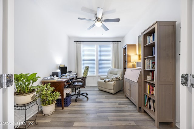 office space featuring ceiling fan and hardwood / wood-style flooring