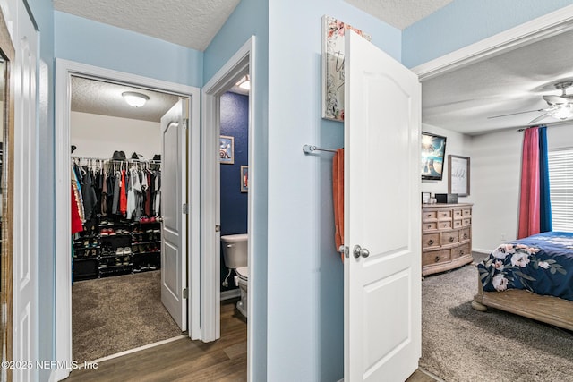 bedroom featuring ceiling fan, a textured ceiling, a walk in closet, a closet, and dark carpet