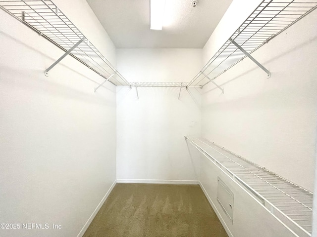 spacious closet with dark carpet