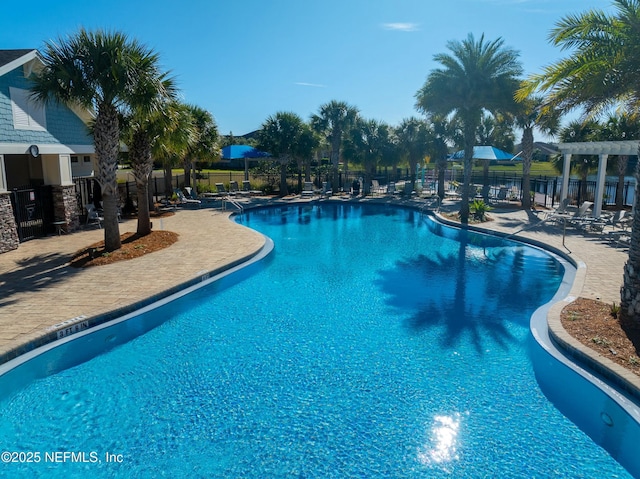 view of pool featuring a pergola and a patio area