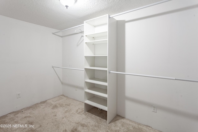 walk in closet with light carpet