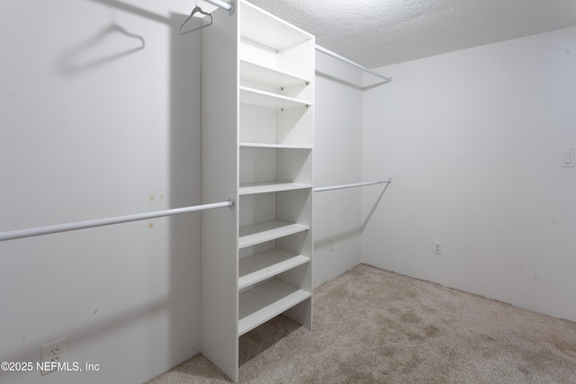 spacious closet with light colored carpet