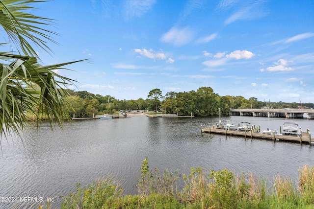 dock area with a water view