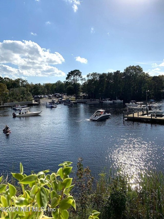 property view of water with a dock