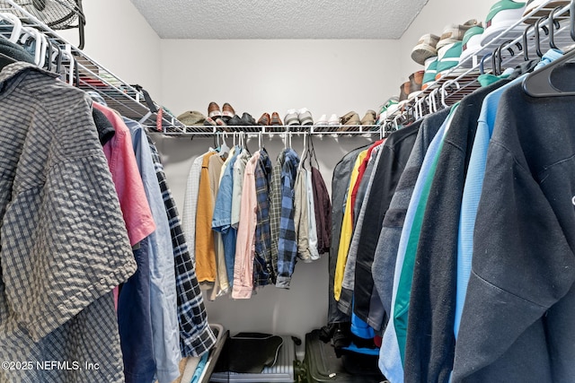 view of walk in closet