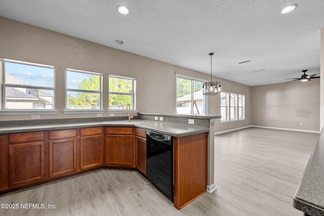 kitchen with sink, black dishwasher, decorative light fixtures, ceiling fan with notable chandelier, and light wood-type flooring