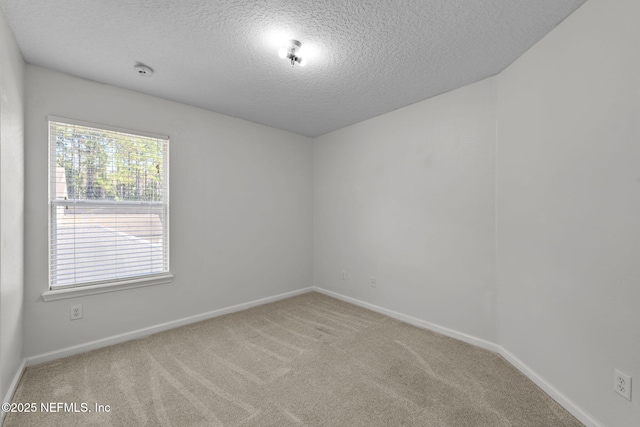 unfurnished room with carpet and a textured ceiling