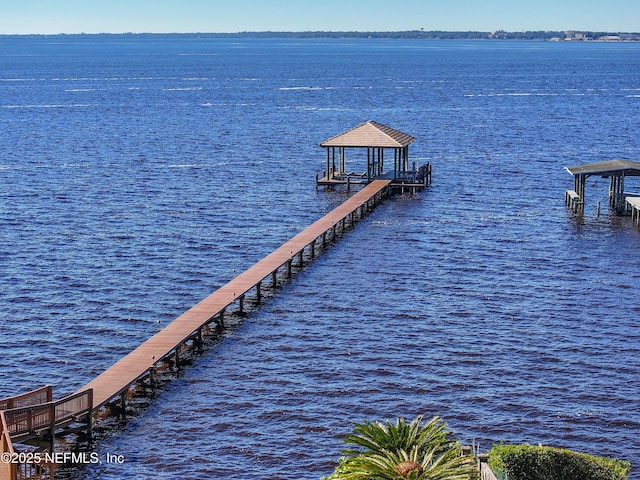 dock area with a water view