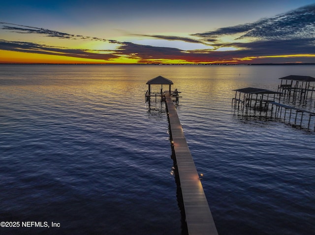 dock area with a water view