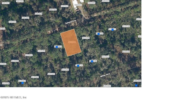 211 Temple Ave, Crescent City, FL 32112 - photo 1
