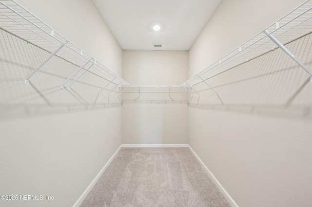 walk in closet featuring carpet flooring