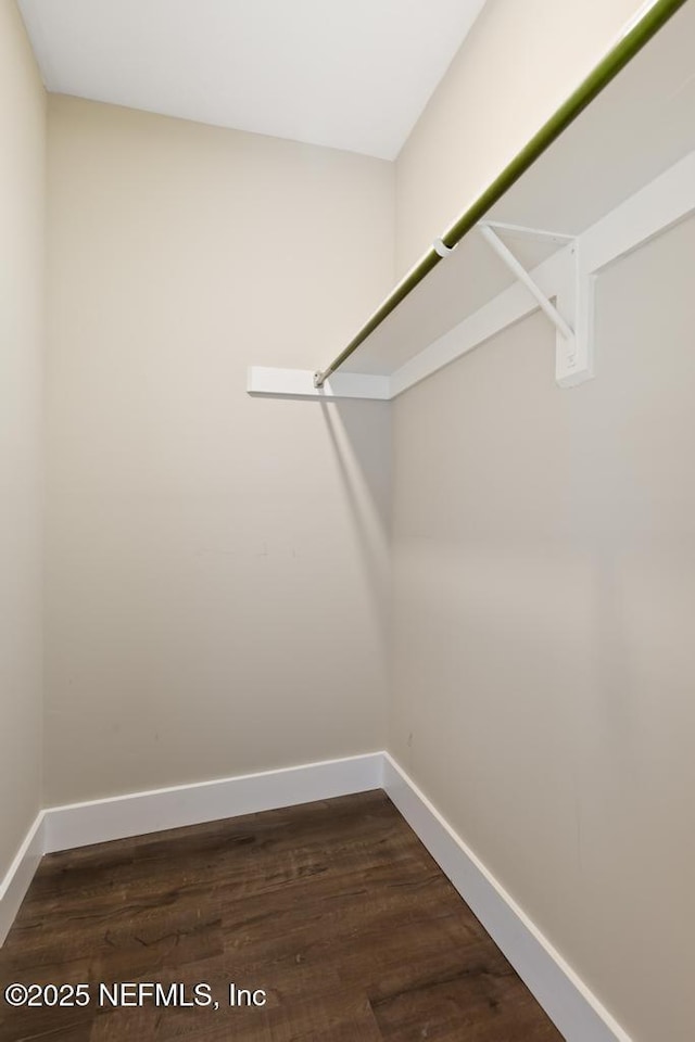 walk in closet with dark wood finished floors