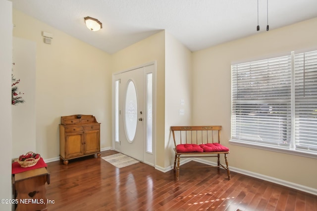 foyer featuring dark wood-type flooring