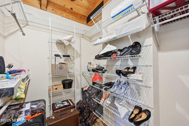 view of spacious closet