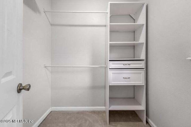 walk in closet with light carpet