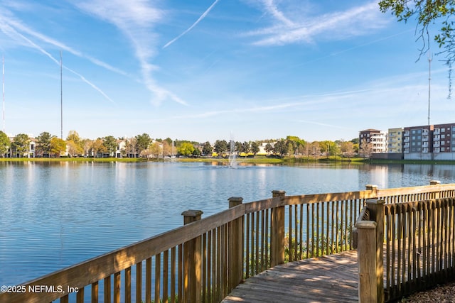 dock area with a water view