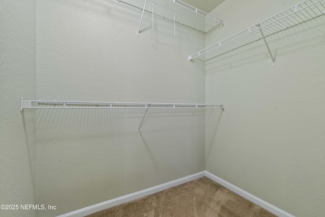 spacious closet with carpet floors