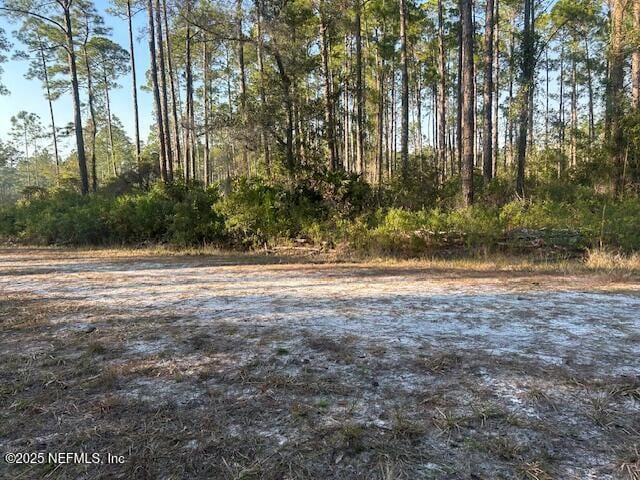 128 Carteret Rd, Georgetown FL, 32139 land for sale