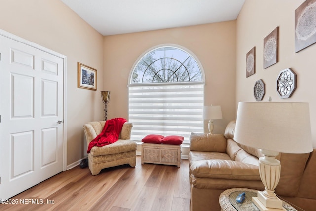 sitting room with a healthy amount of sunlight and light wood-type flooring