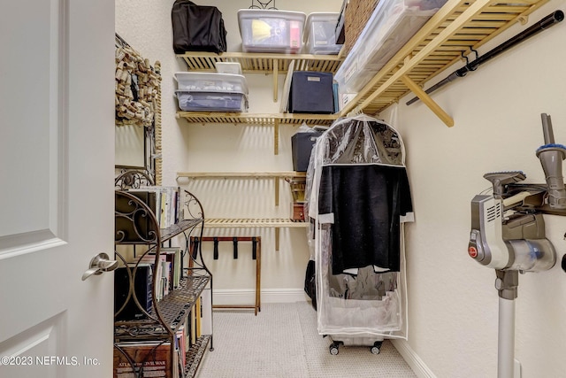 spacious closet featuring carpet flooring