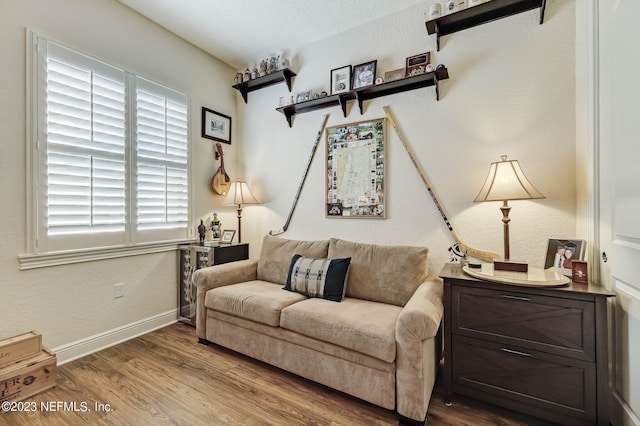 living room featuring hardwood / wood-style flooring