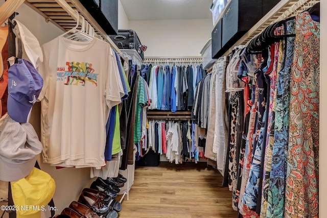 walk in closet with light hardwood / wood-style floors