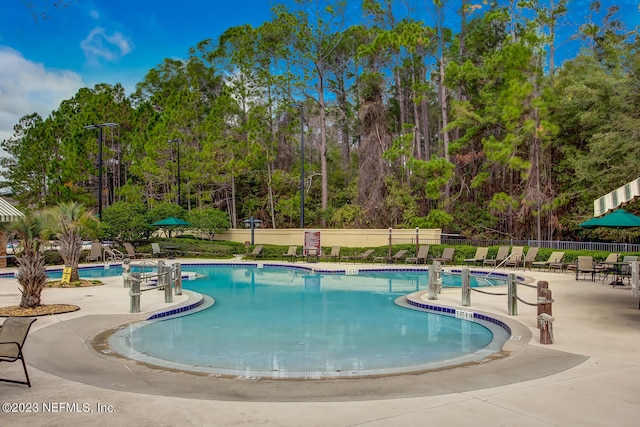 view of swimming pool featuring a patio area