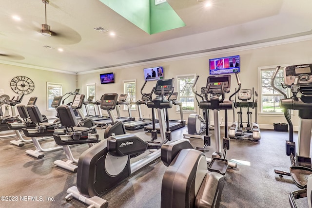 exercise room with ceiling fan and crown molding