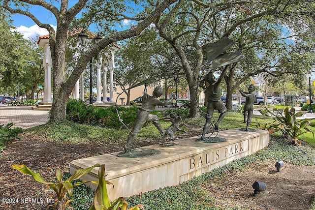 view of surrounding community